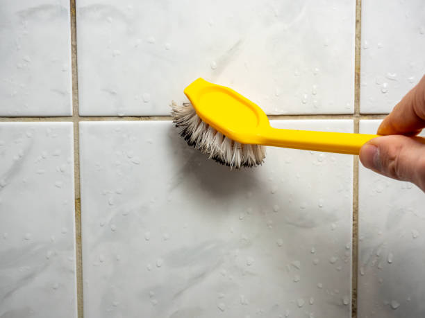Anacoco, LA Mold Removal Company