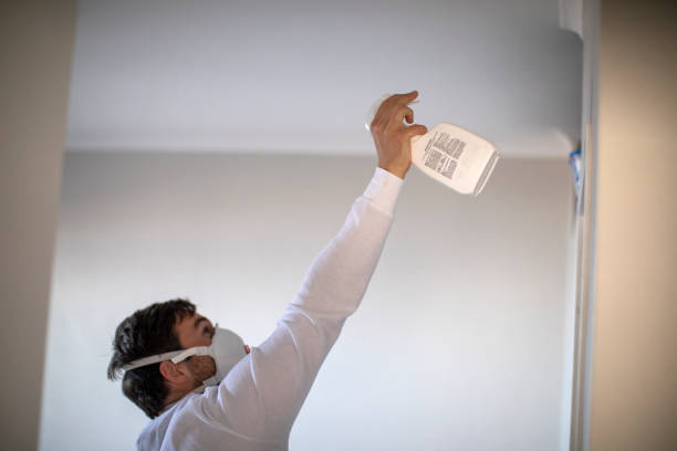 Best Mold Cleaning Services  in Anacoco, LA