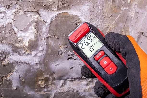 Best Emergency Mold Removal  in Anacoco, LA