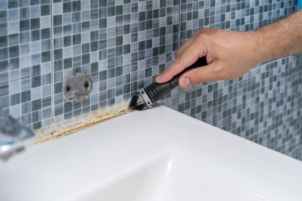Certified Mold Removal in Anacoco, LA