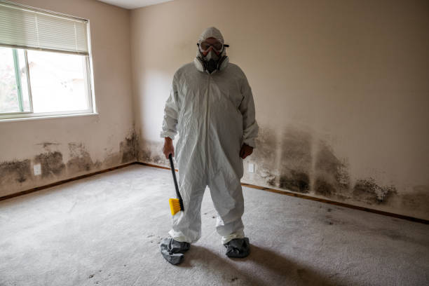 Best Fast Mold Removal  in Anacoco, LA